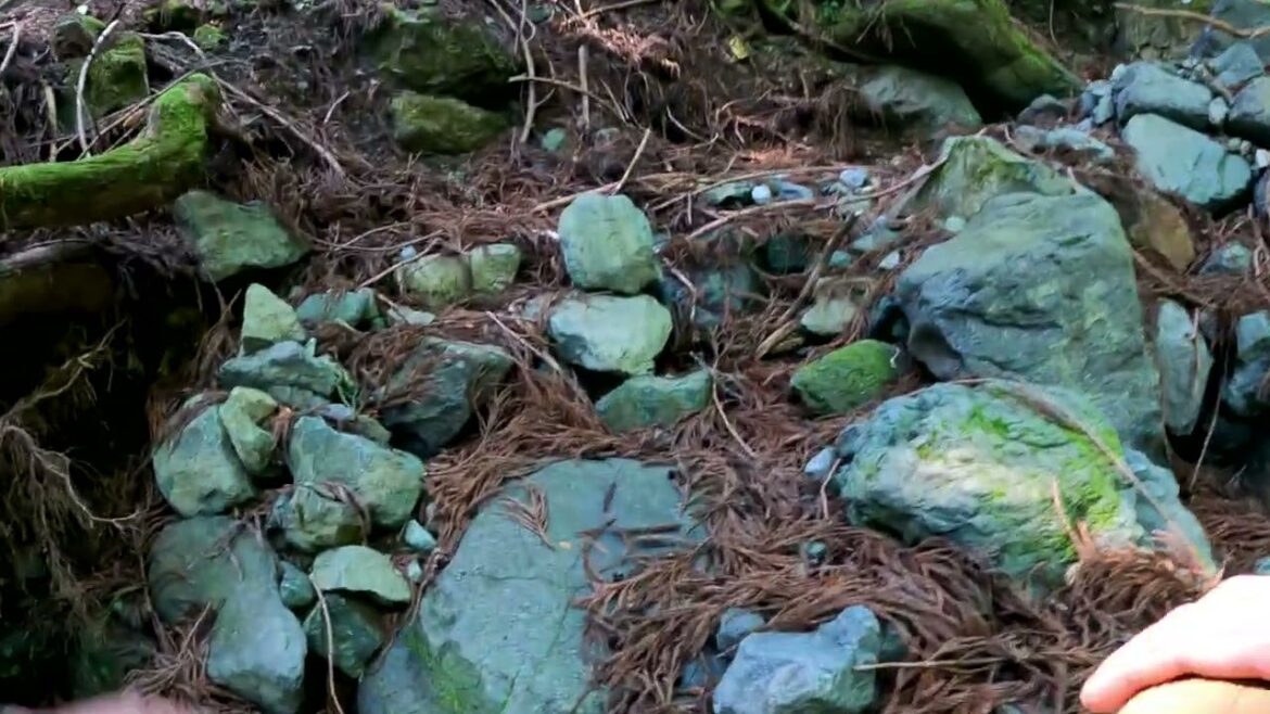 22年7月　山梨県道志村　椿林道終点→足跡付近→943ピーク（西山）